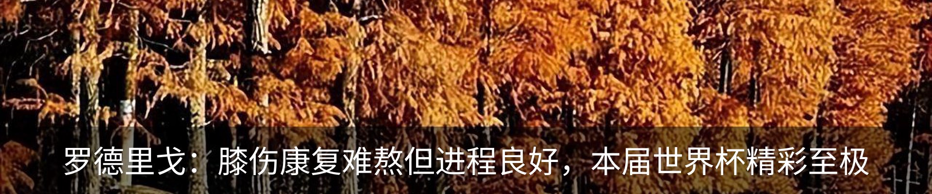 热点资讯